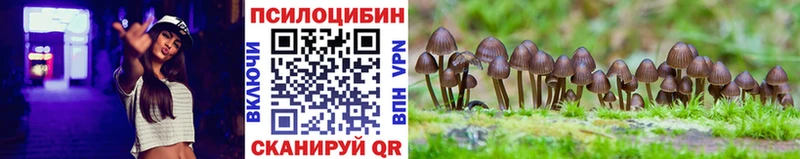 маркетплейс какой сайт  Ялуторовск  Галлюциногенные грибы мицелий  цена наркотик 
